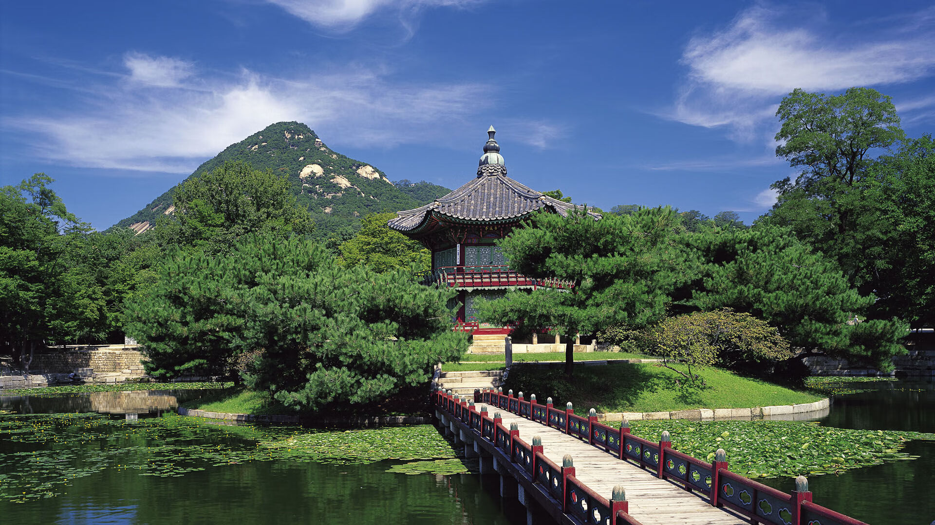世界举重康复教师培训：功能训练与运动医学结合成主流，举重课程